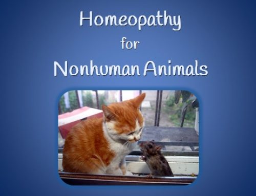 [WEBINAR] Homeopathy for Nonhuman Animals