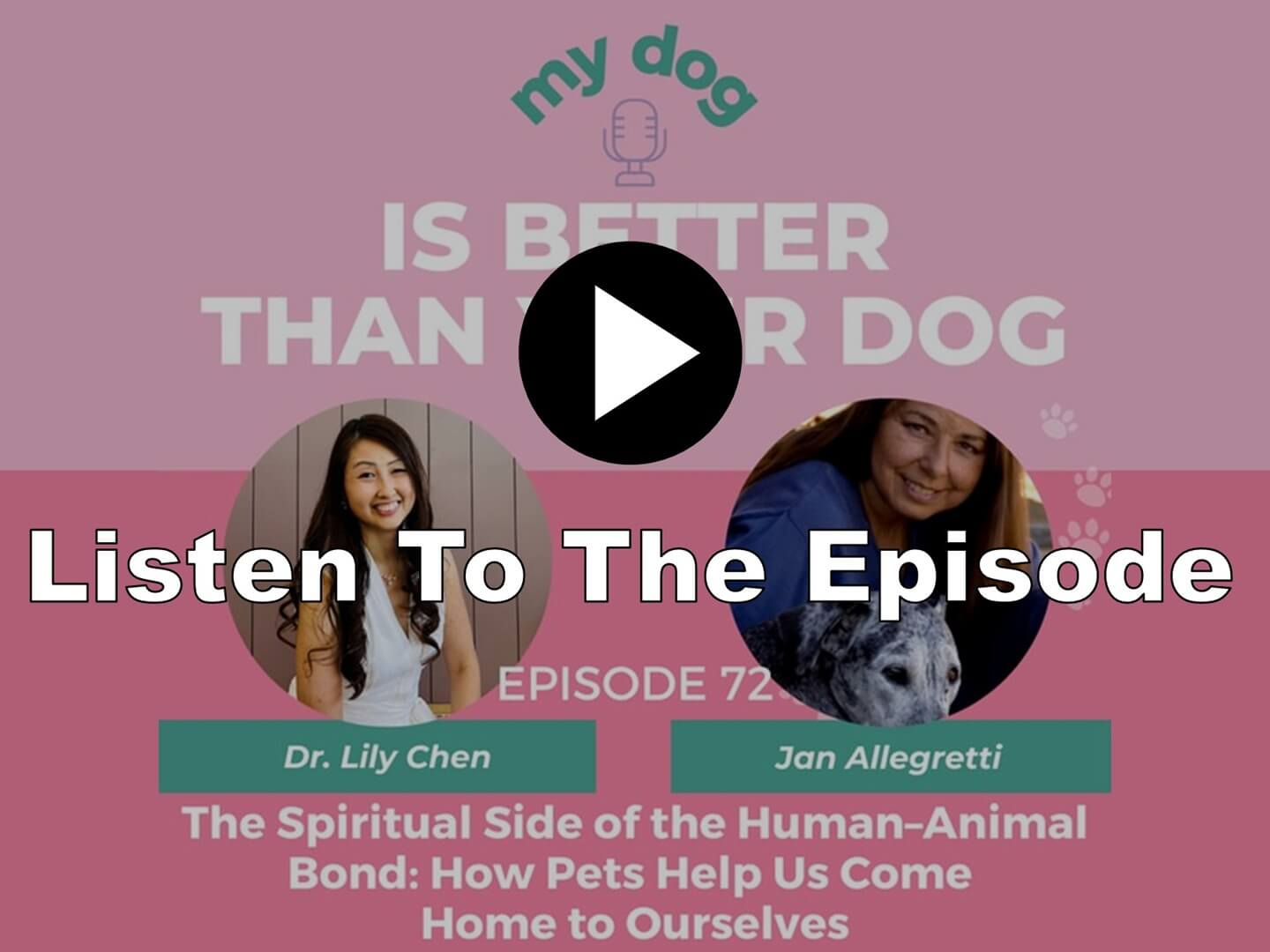 Jan Allegretti Podcast Interview - The Spiritual Side of the Human-Animal Bond